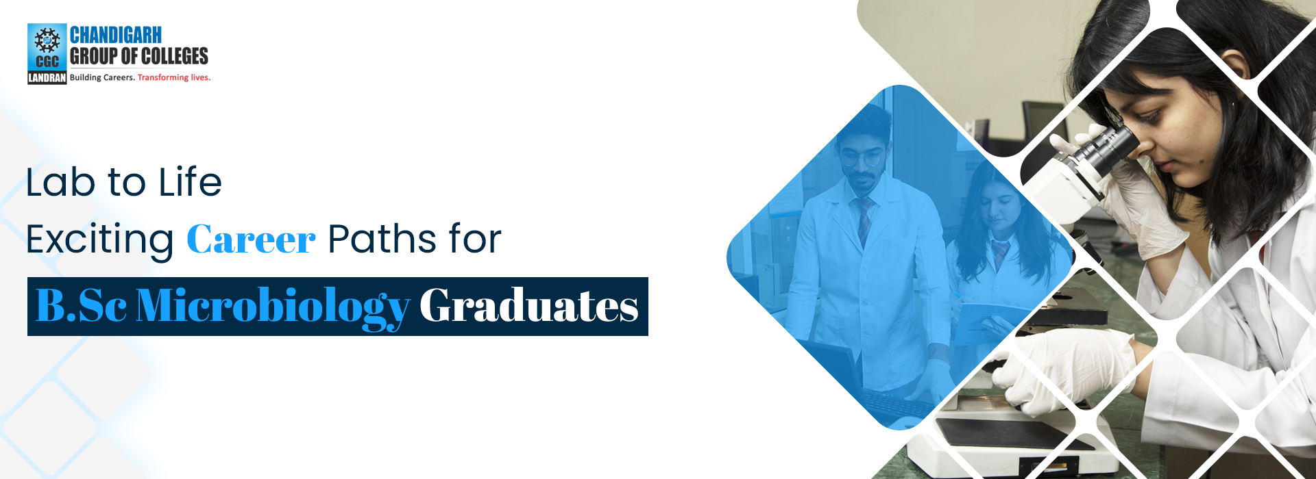Career Paths for B.Sc Microbiology Graduates: Lab to Life