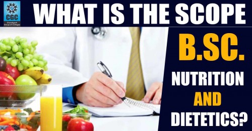 Scope of B.Sc Nutrition and Dietetics: Careers and Future Growth