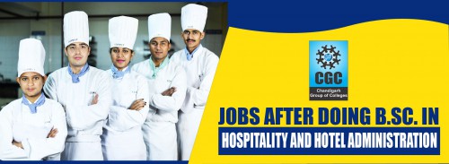Best Jobs After B.Sc Hospitality and Hotel Administration