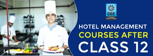Top Hotel Management Courses After Class 12 (Guide)